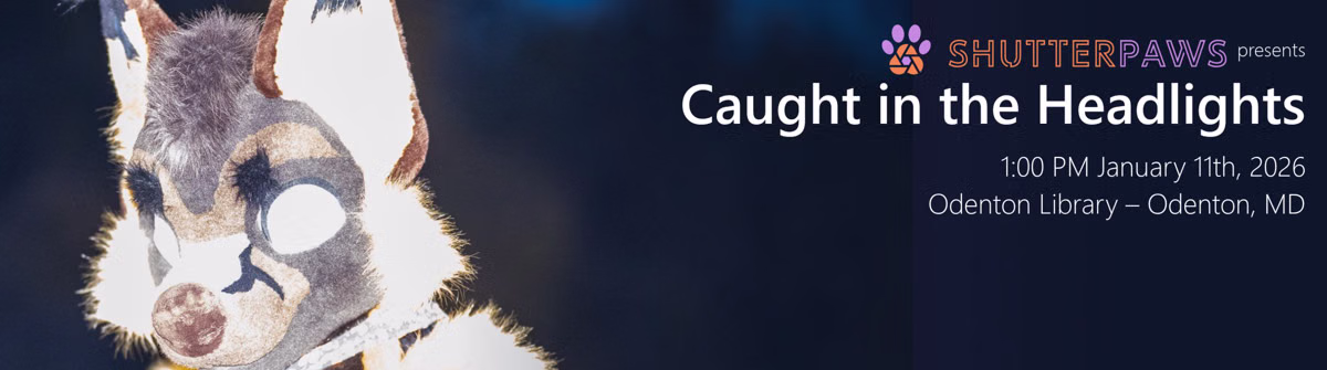 Caught in the Headlights: Flash Photography for Fursuiters