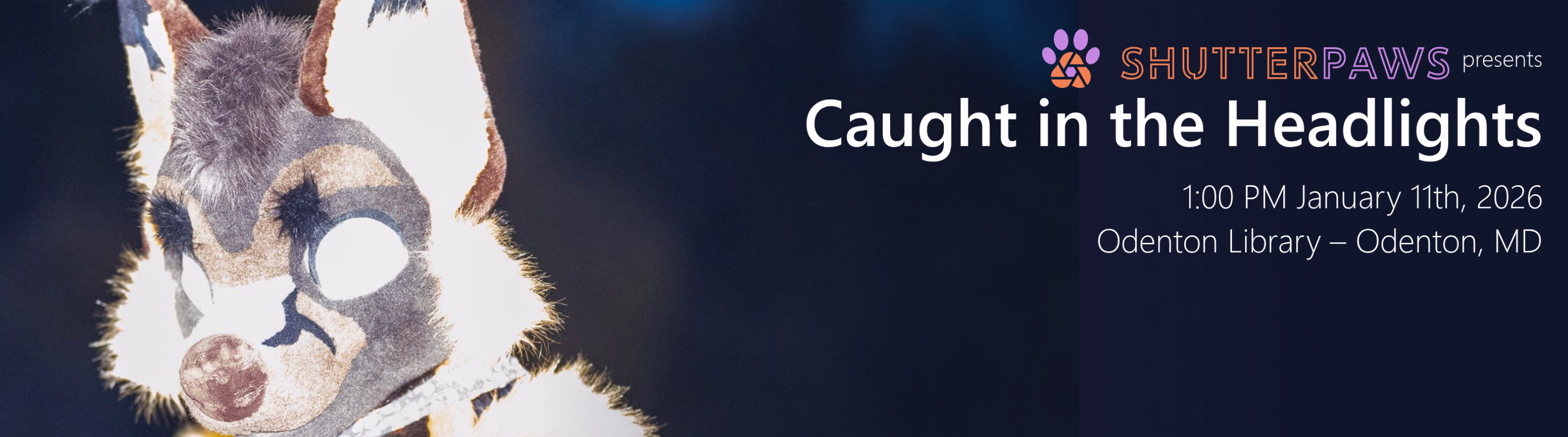 Caught in the Headlights: Flash Photography for Fursuiters