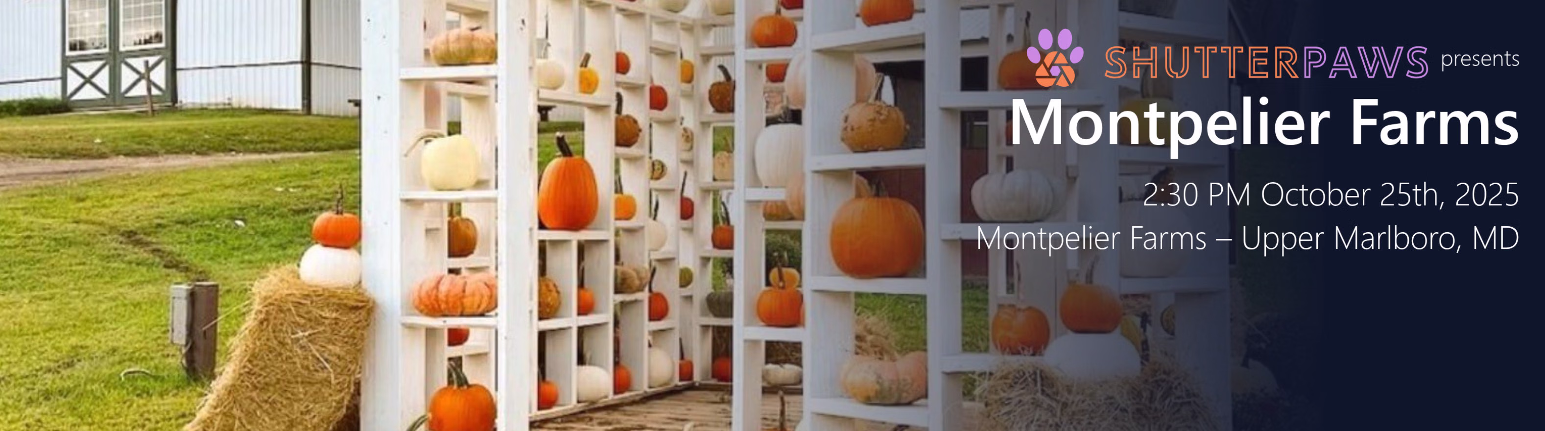 Montpelier Farms
