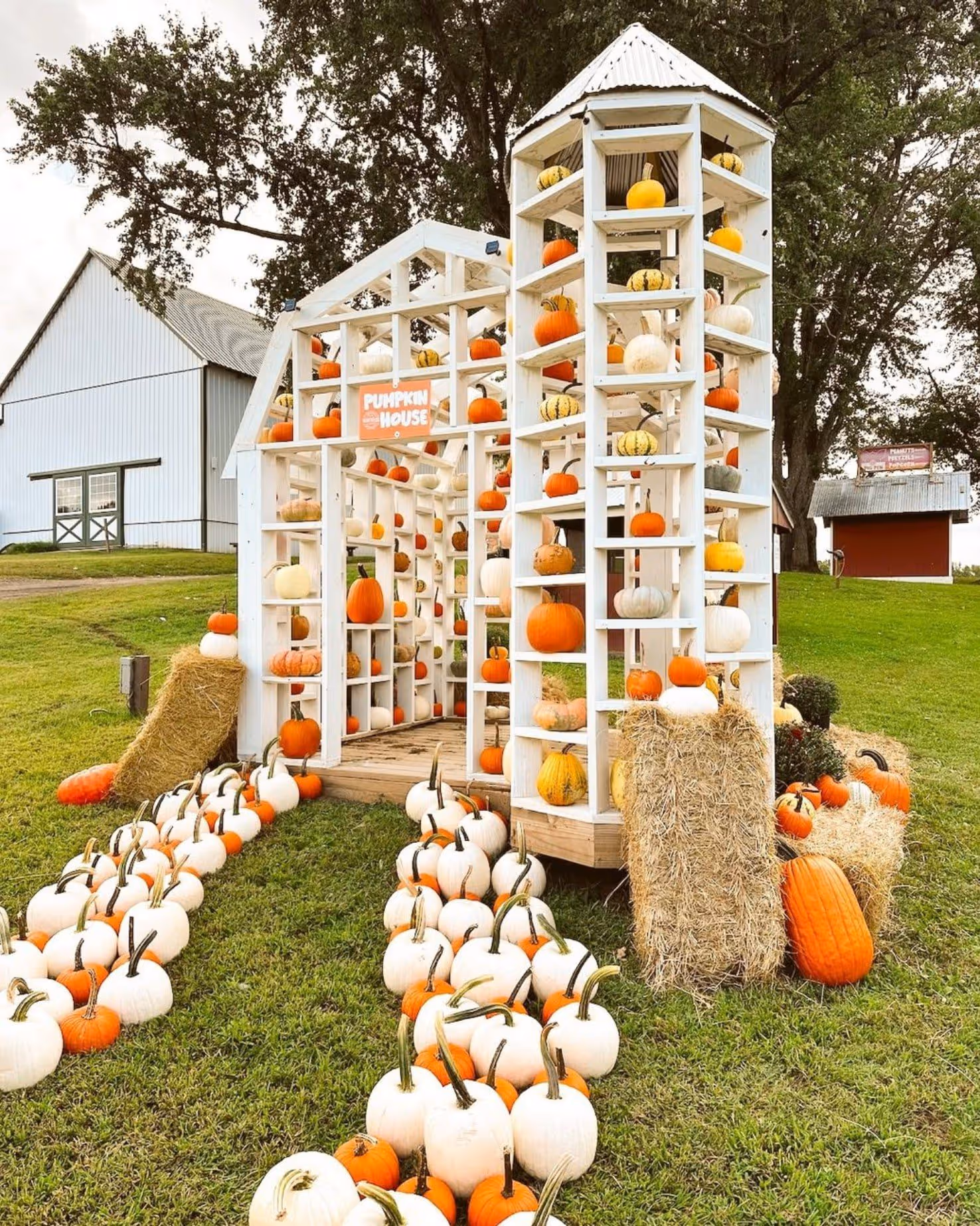 Montpelier Farms