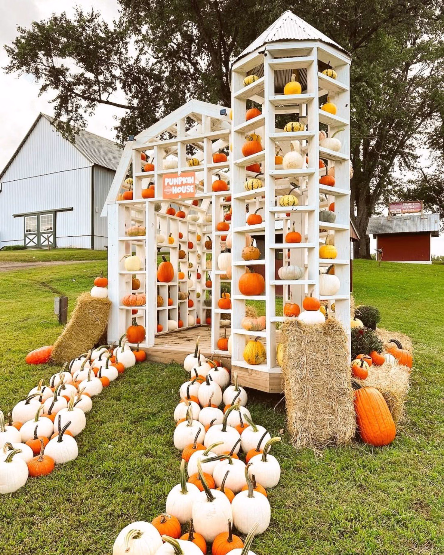 Montpelier Farms
