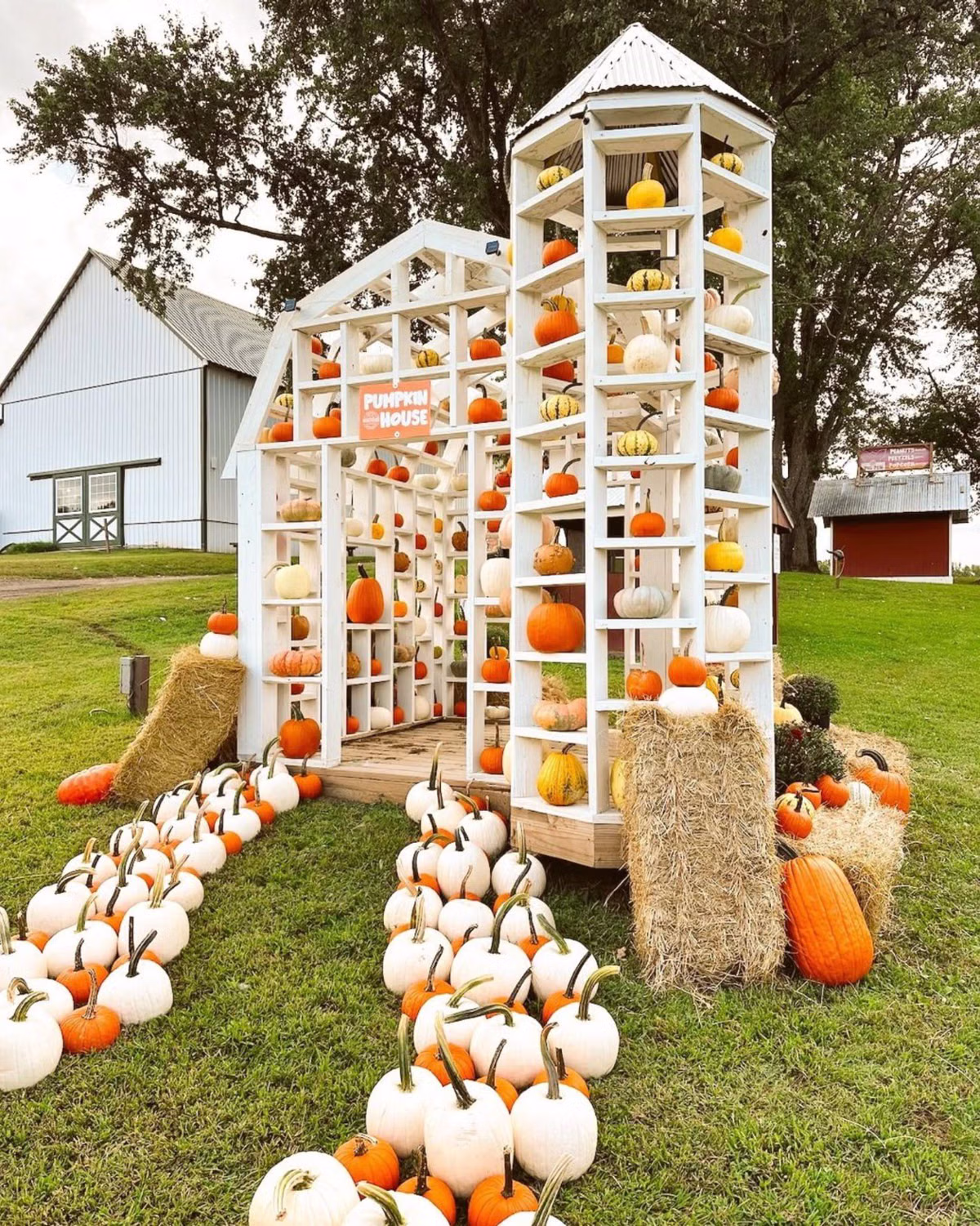 Montpelier Farms