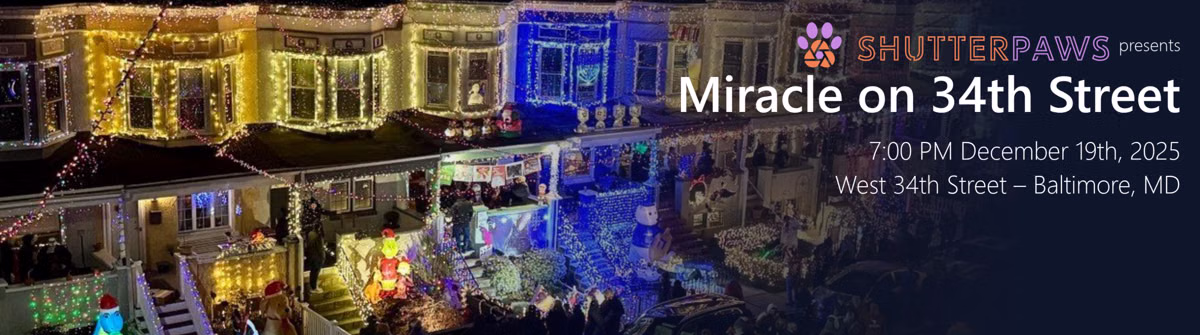 Miracle on 34th Street in Paw-timore