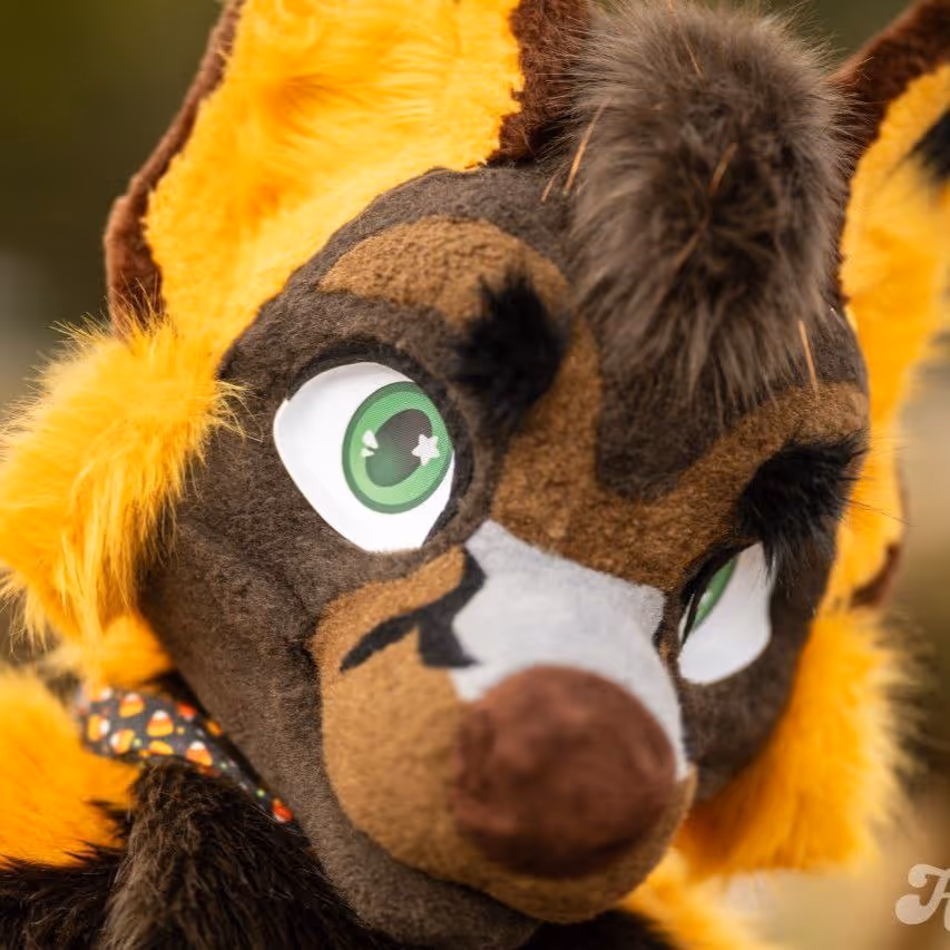 Yivishta profile picture