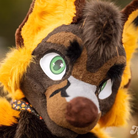 Yivishta profile picture