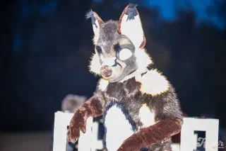 Caught in the Headlights: Flash Photography for Fursuiters